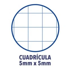 CUADERNO EUROPEANBOOK 1 TAPA EXTRADURA A4 80 HOJAS 5X5 COLOR VERDE MANZANA OXFORD 100430199 7 CUADERNO EUROPEANBOOK 1 TAPA EXTRADURA A4 80 HOJAS 5X5 COLOR VERDE MANZANA OXFORD 100430199 -tienda EPSON 100430199 pic 3