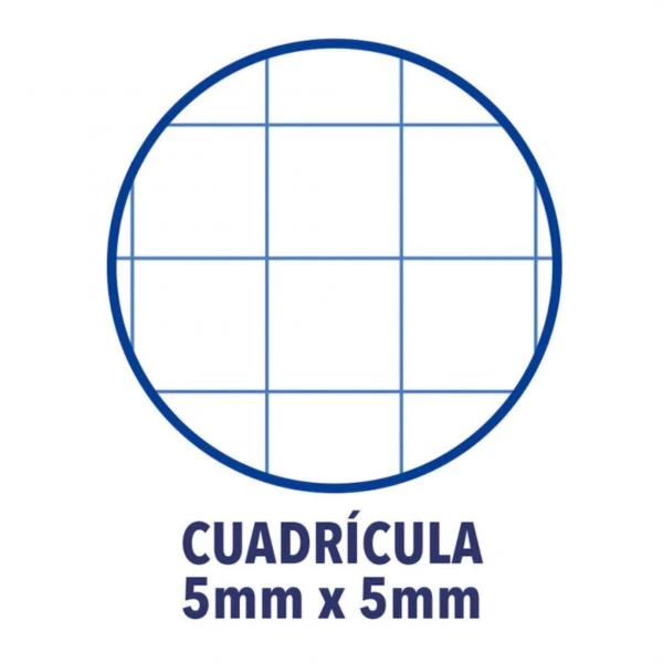 CUADERNO EUROPEANBOOK 1 TAPA EXTRADURA A4 80 HOJAS 5X5 COLOR VERDE MANZANA OXFORD 100430199 4 CUADERNO EUROPEANBOOK 1 TAPA EXTRADURA A4 80 HOJAS 5X5 COLOR VERDE MANZANA OXFORD 100430199 - Imagen 4