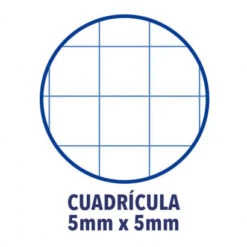 CUADERNO EUROPEANBOOK 1 TAPA EXTRADURA A4 80 HOJAS 5X5 COLOR AMARILLO OXFORD 100430200 -tienda EPSON 100430200 pic 3