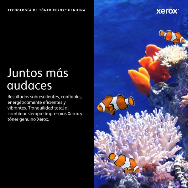 C60XCYANSTANDARDCAPTONERCART 6 000PAGES FVLC600 VLC6 05 12 C60XCYANSTANDARDCAPTONERCART 6 000PAGES FVLC600 VLC6 05 - Imagen 12