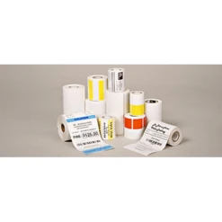 8000D 10YEAR RECEIPT DT60MICRON 101.6MMX31.7M BOX OF 16