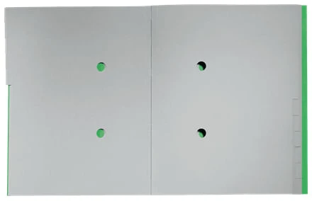 CARPETA CLASIFICADORA DE CARTON 12 POSICIONES A4 RECYCLE 100 VERDE LEITZ 39150055 4 CARPETA CLASIFICADORA DE CARTON 12 POSICIONES A4 RECYCLE 100 VERDE LEITZ 39150055 - Imagen 4