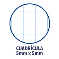 CUADERNO EUROPEANBOOK 1 TAPA EXTRADURA A4 80 HOJAS 5X5 COLOR TURQUESA OXFORD 400028276 6 CUADERNO EUROPEANBOOK 1 TAPA EXTRADURA A4 80 HOJAS 5X5 COLOR TURQUESA OXFORD 400028276 -tienda EPSON 400028276 pic 2