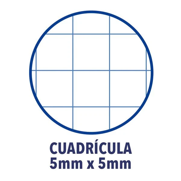 CUADERNO EUROPEANBOOK 1 TAPA EXTRADURA A4 80 HOJAS 5X5 COLOR TURQUESA OXFORD 400028276 3 CUADERNO EUROPEANBOOK 1 TAPA EXTRADURA A4 80 HOJAS 5X5 COLOR TURQUESA OXFORD 400028276 - Imagen 3