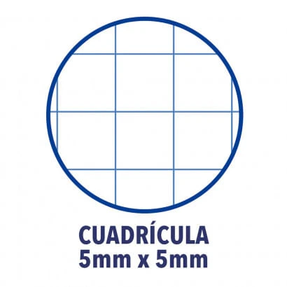 CUADERNO EUROPEANBOOK 1 TAPA EXTRADURA A4 80 HOJAS 5X5 COLOR ICE MINT OXFORD 400040983 3 CUADERNO EUROPEANBOOK 1 TAPA EXTRADURA A4 80 HOJAS 5X5 COLOR ICE MINT OXFORD 400040983 - Imagen 3