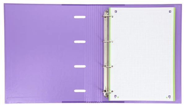 CARPETA CON GOMA EUROPEANBINDER TAPA EXTRADURA A4 100 HOJAS 5X5 SCHOOL SURTIDOS TEND CON RECAMBIO-ES OXFORD 400075372 12 CARPETA CON GOMA EUROPEANBINDER TAPA EXTRADURA A4 100 HOJAS 5X5 SCHOOL SURTIDOS TEND CON RECAMBIO-ES OXFORD 400075372 - Imagen 12