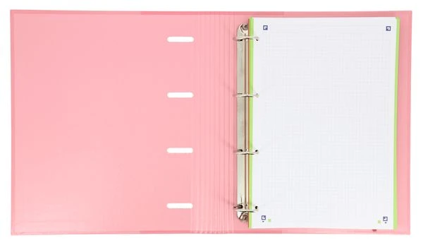 CARPETA CON GOMA EUROPEANBINDER TAPA EXTRADURA A4 100 HOJAS 5X5 SCHOOL SURTIDOS TEND CON RECAMBIO-ES OXFORD 400075372 10 CARPETA CON GOMA EUROPEANBINDER TAPA EXTRADURA A4 100 HOJAS 5X5 SCHOOL SURTIDOS TEND CON RECAMBIO-ES OXFORD 400075372 - Imagen 10