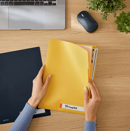 P-3 DOSSIER PRIV. C SEP. COSY AMARILLO LEITZ 47160019 3 P-3 DOSSIER PRIV. C SEP. COSY AMARILLO LEITZ 47160019 - Imagen 3