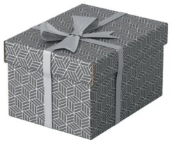 PACK 3 CAJAS GRISES 255X200X150MM ESSELTE 628281 7 PACK 3 CAJAS GRISES 255X200X150MM ESSELTE 628281 -tienda EPSON 628281 pic 2