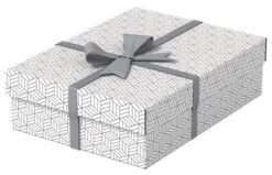 PACK 3 CAJAS BLANCAS 360X265X100MM ESSELTE 628284 7 PACK 3 CAJAS BLANCAS 360X265X100MM ESSELTE 628284 -tienda EPSON 628284 pic 2