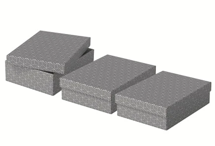 PACK 3 CAJAS GRISES 360X265X100MM ESSELTE 628285 5 PACK 3 CAJAS GRISES 360X265X100MM ESSELTE 628285 - Imagen 5