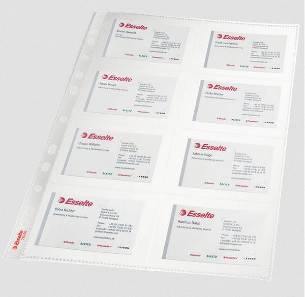 BOLSA 10 FUNDAS TARJETAS VISITAS MULTITALADRO PVC FORMATO A4 110 MICRAS ESSELTE 78930 2 BOLSA 10 FUNDAS TARJETAS VISITAS MULTITALADRO PVC FORMATO A4 110 MICRAS ESSELTE 78930 - Imagen 2