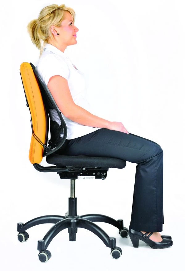 RESPALDO LUMBAR MESH PROFESS FELLOWES 8029901 3 RESPALDO LUMBAR MESH PROFESS FELLOWES 8029901 - Imagen 3