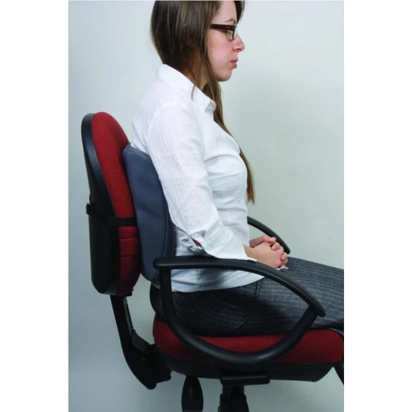 RESPALDO LUMBAR SMART SUITES FELLOWES 9190901 3 RESPALDO LUMBAR SMART SUITES FELLOWES 9190901 - Imagen 3