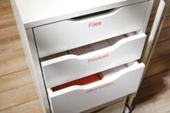 CINTA ROTULADORA D1 12MMX7M ROJO BLANCO DYMO S0720550 23 CINTA ROTULADORA D1 12MMX7M ROJO BLANCO DYMO S0720550 -tienda EPSON S0720550 pic 10