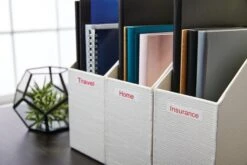 CINTA ROTULADORA D1 12MMX7M ROJO BLANCO DYMO S0720550 25 CINTA ROTULADORA D1 12MMX7M ROJO BLANCO DYMO S0720550 -tienda EPSON S0720550 pic 12