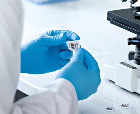 LABELWRITER LABELS 5 LABELWRITER LABELS - Imagen 5